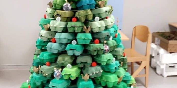 1er prix pour la MAS Horizon de Cerbère