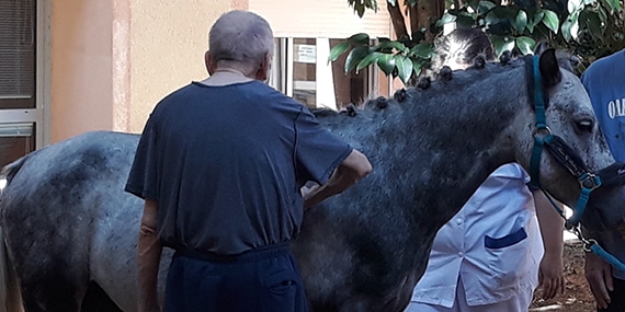 La médiation animale à  l’USSAP USLD de Limoux