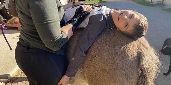 L’équithérapie, une activité stimulante à IEM Galaxie