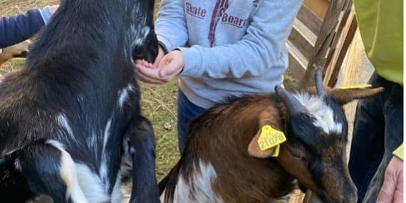 La Ferme à l’Hôpital de Jour pour enfants de l’IPIJ Limoux