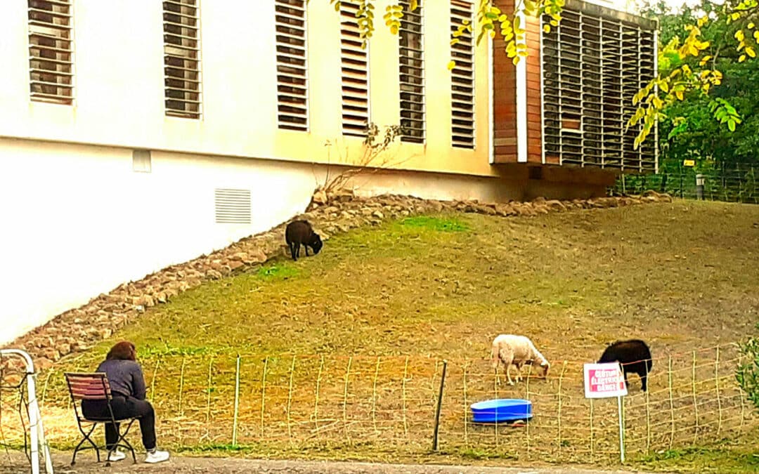 Journée internationale des personnes handicapées