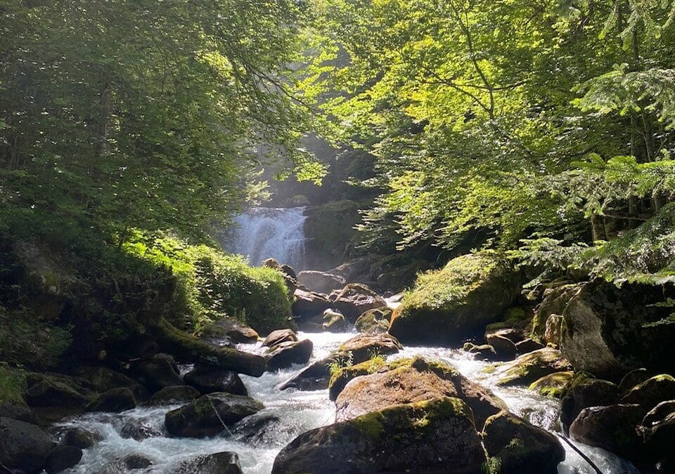 Séjour Thérapeutique à Orlu pour l’HJ* enfant de Carcassonne