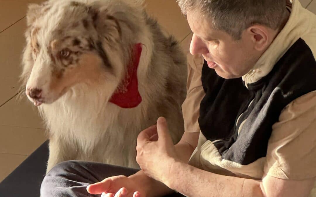 Médiation animale : un apaisement pour nos résidents grâce à l’association Aide à 4 Pattes