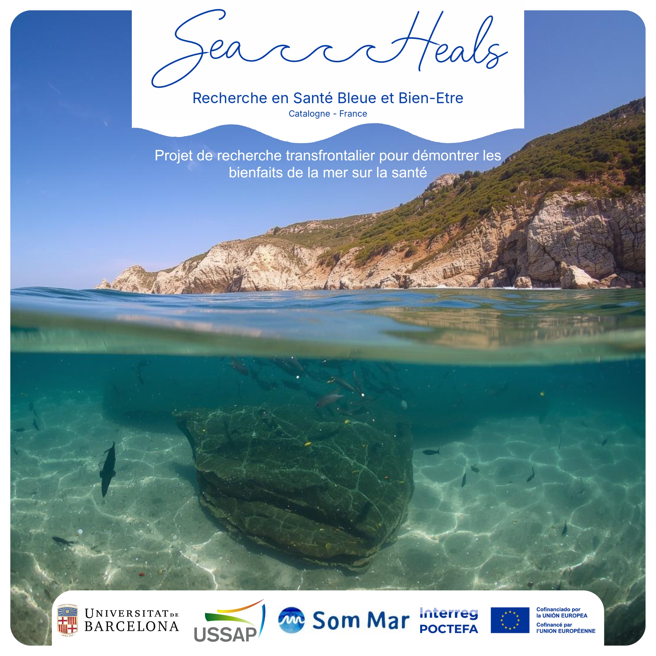 Illustration du projet Seaheals et des collaborateur